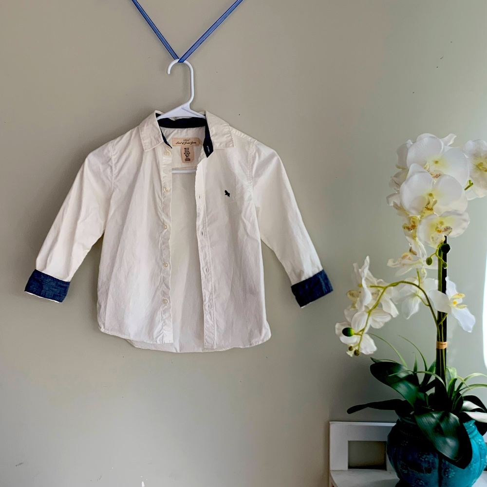 White with Blue Cuffs Button up shirt for Boys